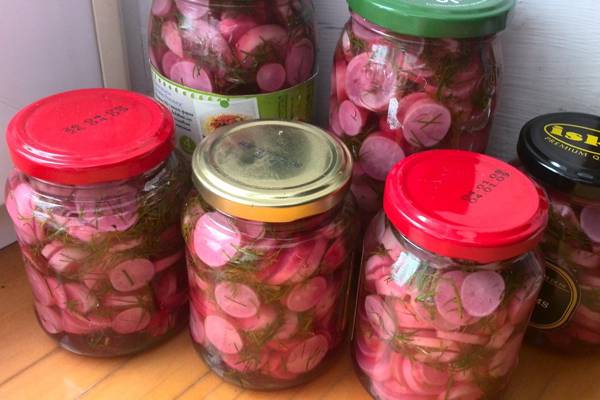 Pickled radish: recipes for the winter