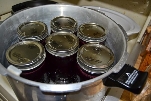 Pickled Red Currant Recipes