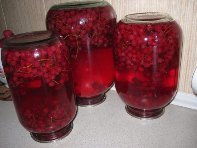 Pickled Red Currant Recipes