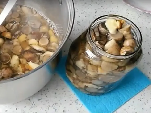 Pickled Rows for the Winter: Simple and Delicious Recipes