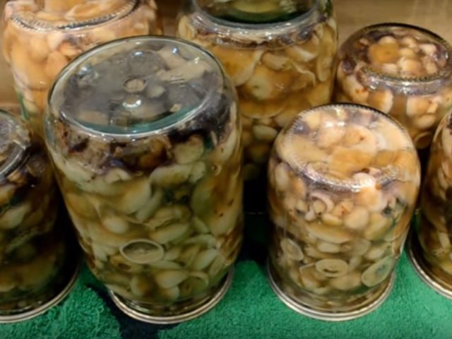 Pickled Rows for the Winter: Simple and Delicious Recipes