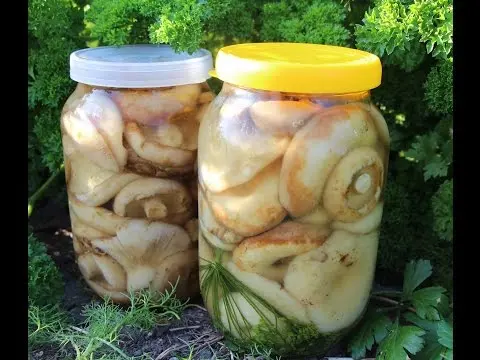 Pickled, salted milk mushrooms: benefits and harms, calories, composition