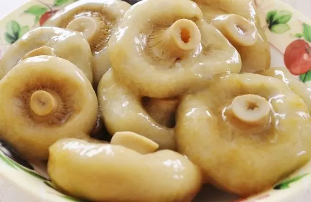 Pickled, salted milk mushrooms: benefits and harms, calories, composition