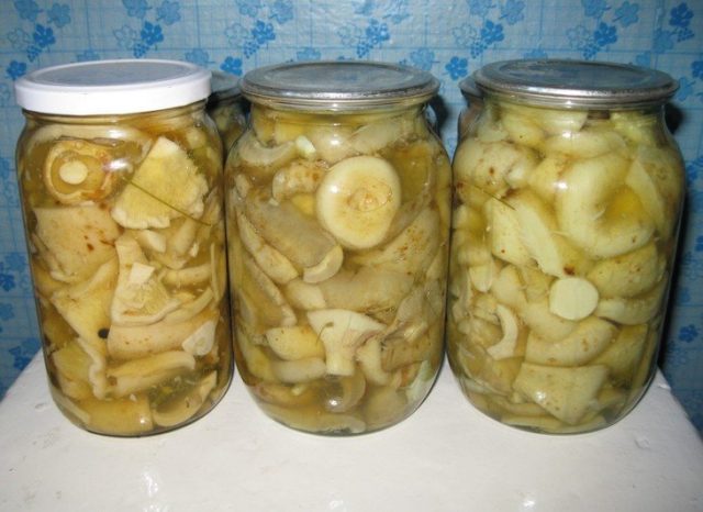 Pickled, salted milk mushrooms: benefits and harms, calories, composition