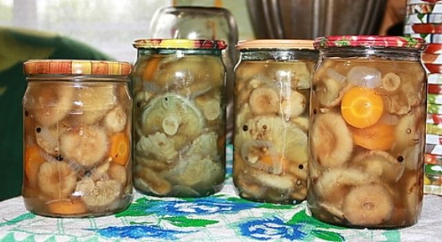 Pickled serushki: a recipe for cooking for the winter