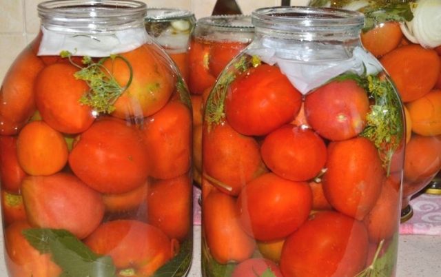 Pickled tomatoes for the winter in jars