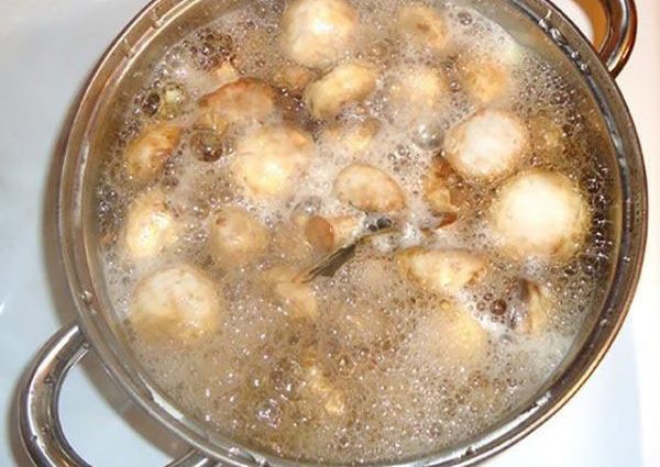 Pickled volnushki in a hot way: recipes for cooking for the winter