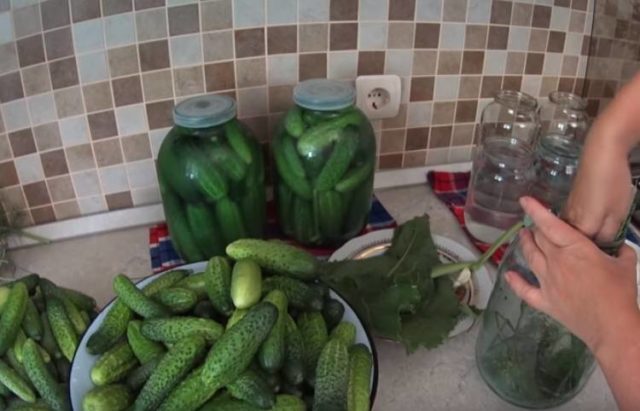 Pickles with fermentation (stray, fermented) for the winter: the best recipes for a 1-liter jar