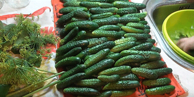 Pickles with fermentation (stray, fermented) for the winter: the best recipes for a 1-liter jar