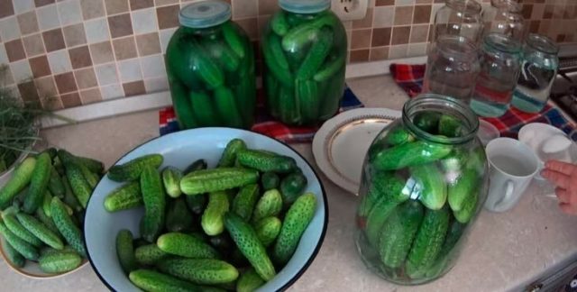 Pickles with fermentation (stray, fermented) for the winter: the best recipes for a 1-liter jar