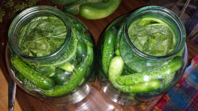 Pickles with fermentation (stray, fermented) for the winter: the best recipes for a 1-liter jar