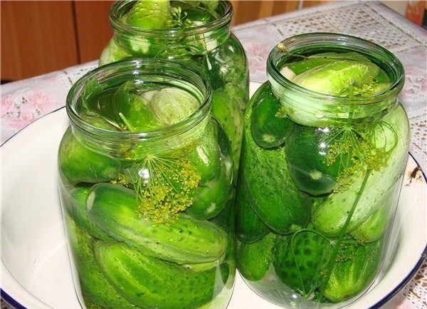 Pickles with fermentation (stray, fermented) for the winter: the best recipes for a 1-liter jar