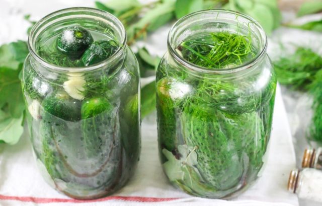 Pickles with fermentation (stray, fermented) for the winter: the best recipes for a 1-liter jar