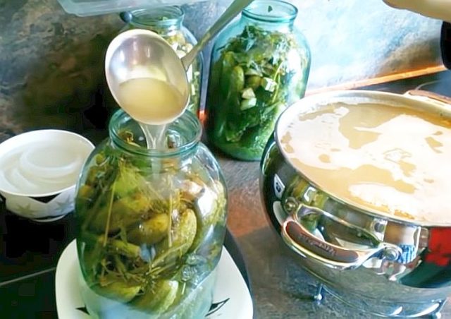 Pickles with fermentation (stray, fermented) for the winter: the best recipes for a 1-liter jar