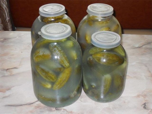 Pickles with fermentation (stray, fermented) for the winter: the best recipes for a 1-liter jar