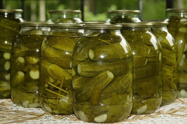 Pickles with fermentation (stray, fermented) for the winter: the best recipes for a 1-liter jar