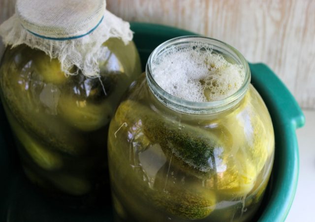 Pickles with fermentation (stray, fermented) for the winter: the best recipes for a 1-liter jar