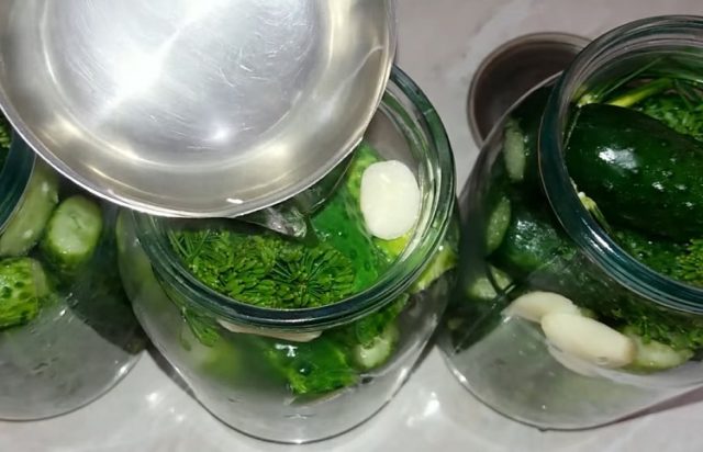 Pickles with fermentation (stray, fermented) for the winter: the best recipes for a 1-liter jar