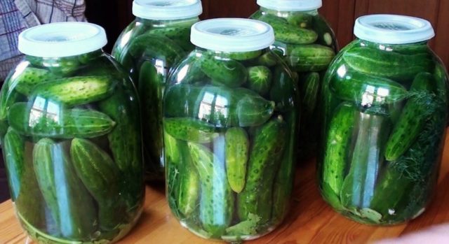 Pickles with fermentation (stray, fermented) for the winter: the best recipes for a 1-liter jar