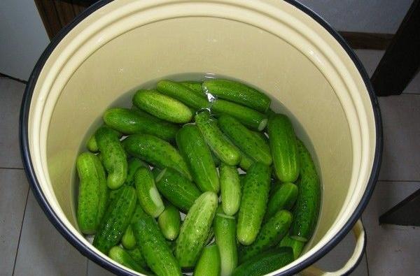 Pickles with fermentation (stray, fermented) for the winter: the best recipes for a 1-liter jar