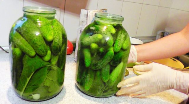 Pickles with fermentation (stray, fermented) for the winter: the best recipes for a 1-liter jar