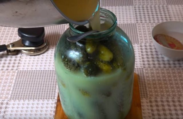 Pickles with fermentation (stray, fermented) for the winter: the best recipes for a 1-liter jar