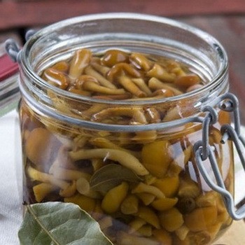 Pickling and pickling brine