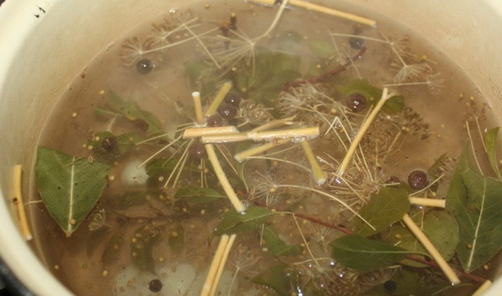 Pickling and pickling brine