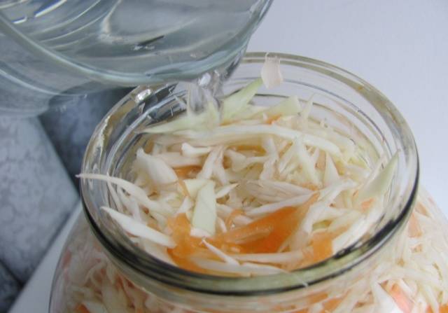 Pickling cabbage in jars in brine 