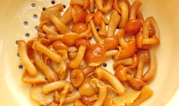 Pickling mushrooms for the winter: simple and tasty ways