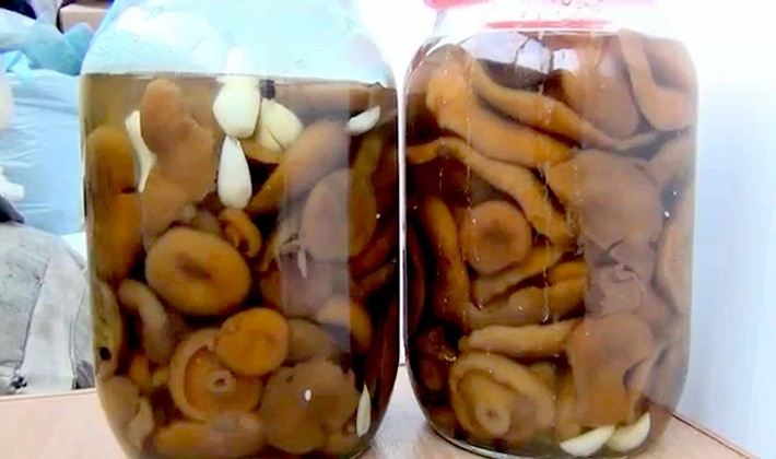 Pickling mushrooms for the winter: simple and tasty ways