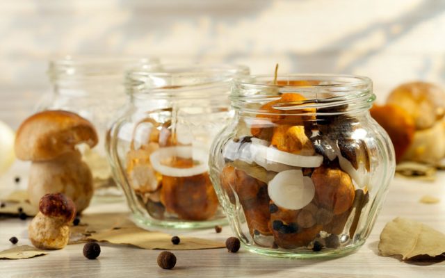 Pickling oil for the winter: recipes without sterilization