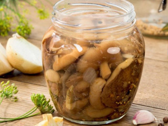 Pickling oil for the winter: recipes without sterilization