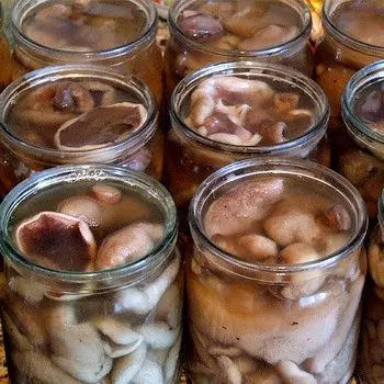 Pickling recipes are oiled under nylon lids