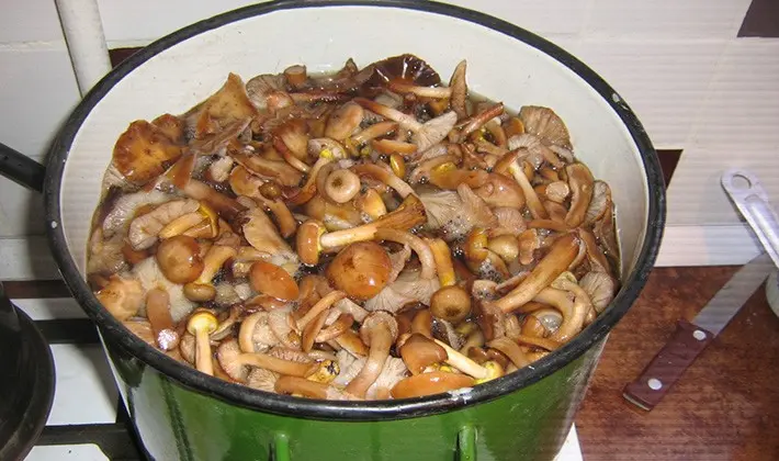 Pickling rows for the winter: step by step recipes