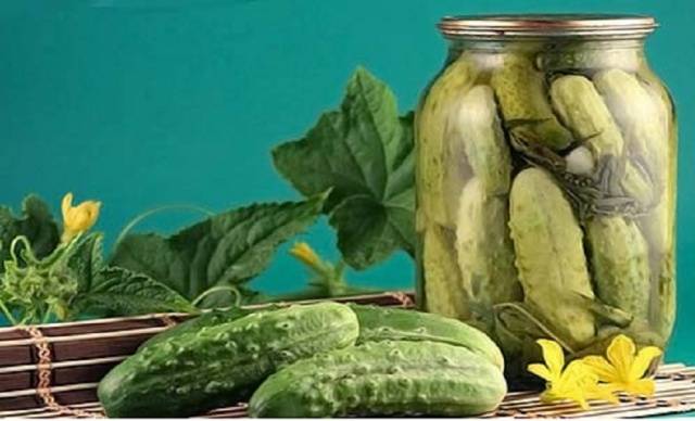 Pickling varieties of cucumbers for open ground 