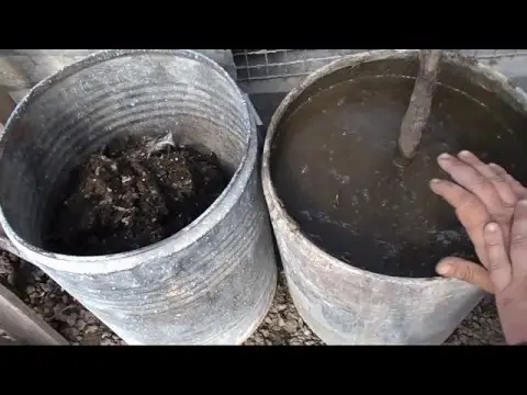 Pigeon droppings as fertilizer: how to apply in the garden