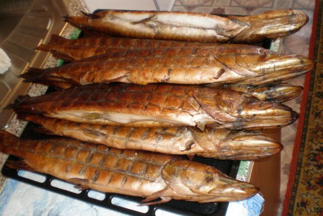 Pike hot, cold smoked at home: recipes with photos, videos