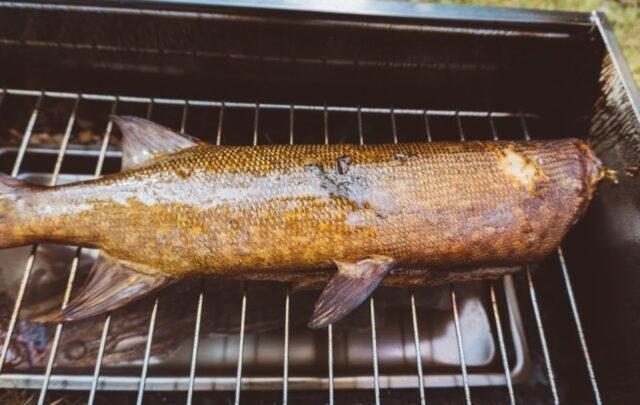 Pike hot, cold smoked at home: recipes with photos, videos