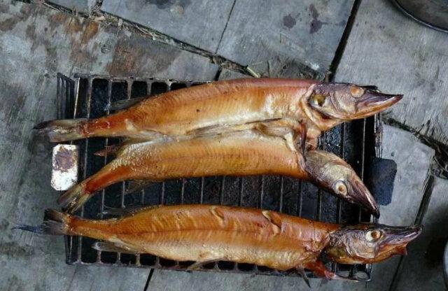 Pike hot, cold smoked at home: recipes with photos, videos