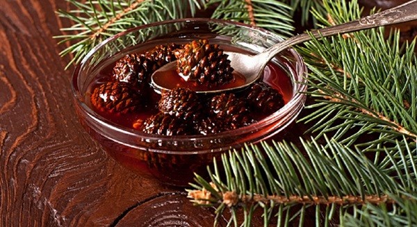 Pine Cone Jam Recipes