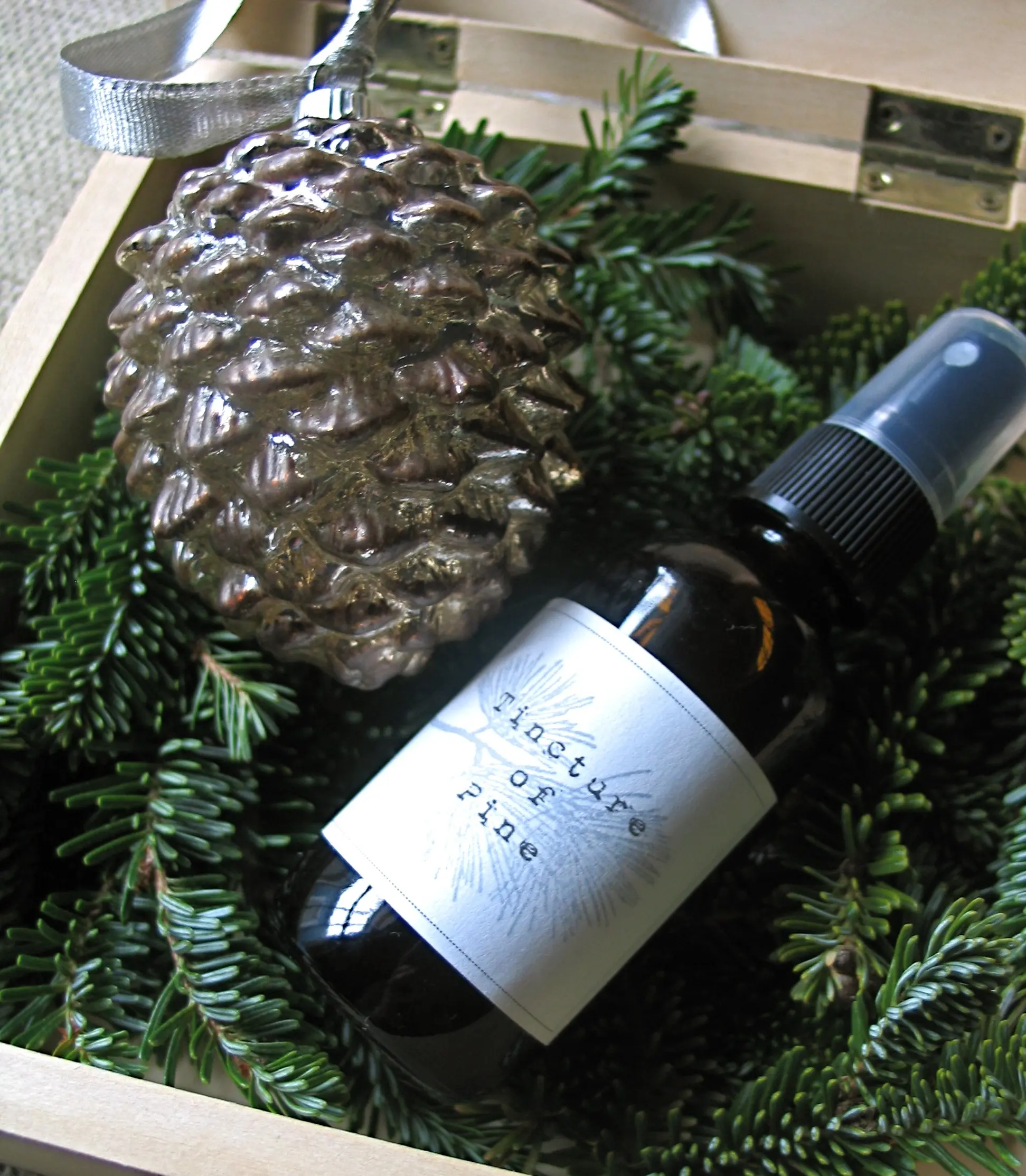 Pine cone tincture