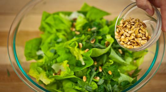 Pine nuts: benefits and harms to the body