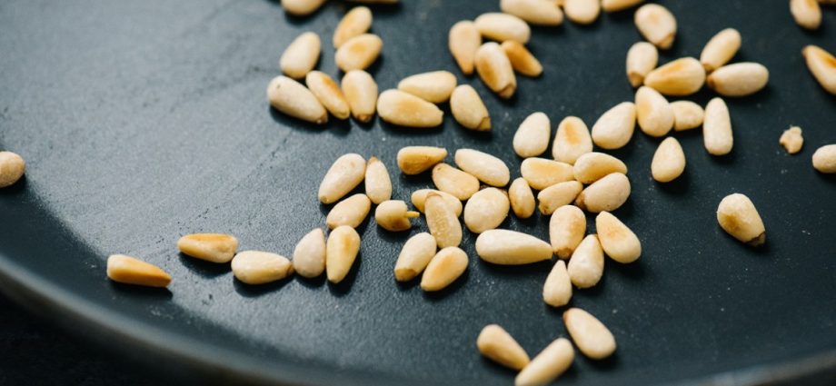 Pine nuts: benefits and harms to the body