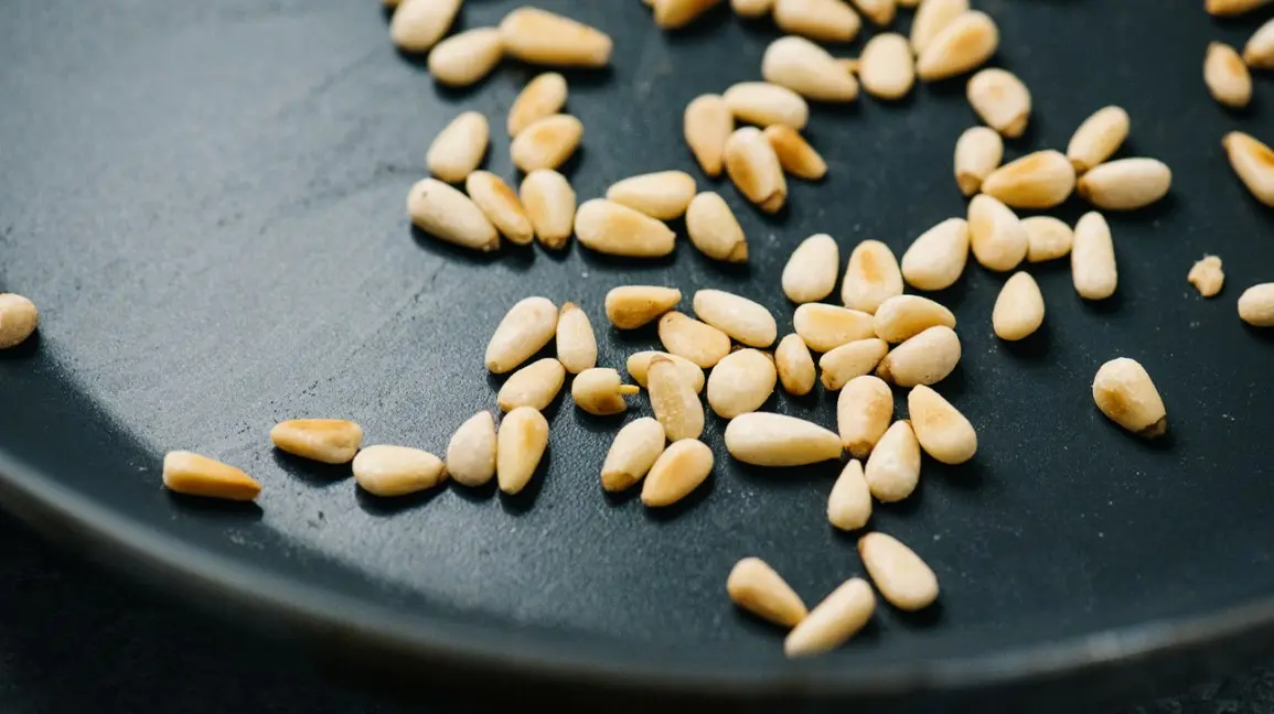 Pine nuts: benefits and harms to the body