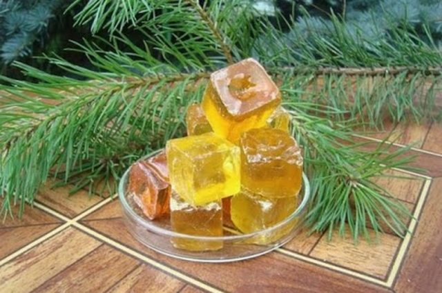 Pine resin: what is it