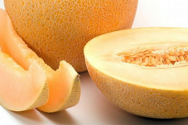 Pineapple melon: types and varieties, agricultural technology of culture