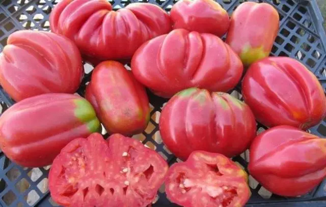 Pink Fig Tomato: reviews, photos