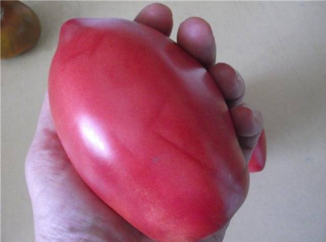 Pink flamingo tomato: reviews, photos, yield