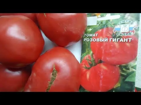 Pink giant tomato: characteristics, variety description, growing rules and reviews